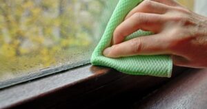 damp blog banner 810x430 1 damp-blog-banner-810x430