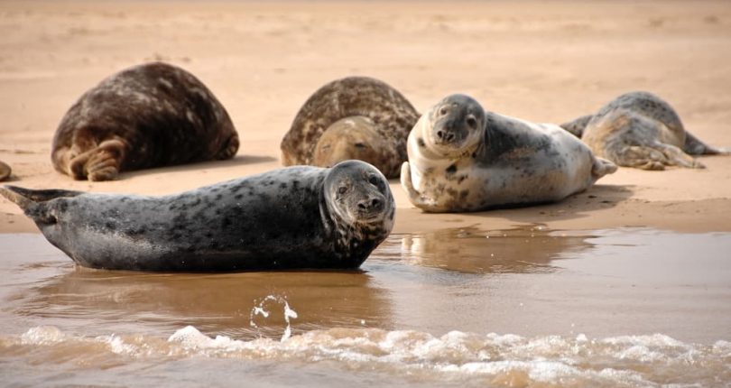 Must Visit Places in Norfolk