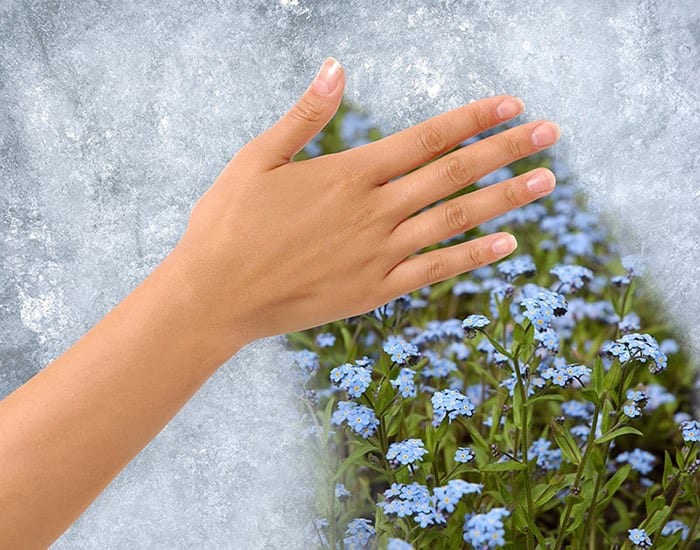 Graphic to show Hand removing Ice from a frozen window revealing field of flowers behind. Clipping path around the hand included.